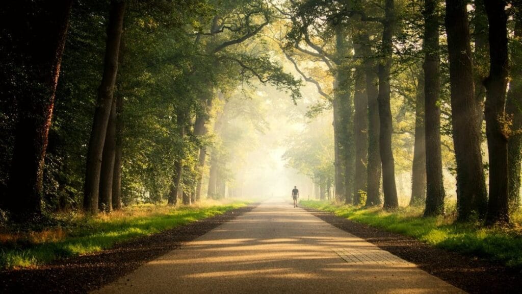 man walking in a park during early hours of morning.
