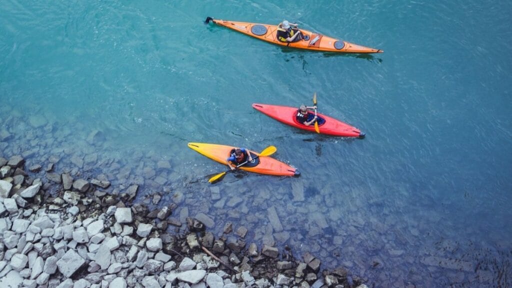people kayaking in a calm river