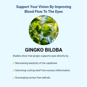 Advanced Vision Formula Advanced Bionutritionals Gingko Biloba