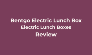 Bentgo Heat Electric Lunch Box Review: Worth It? 4 Bentgo Heat Electric Lunch Box
