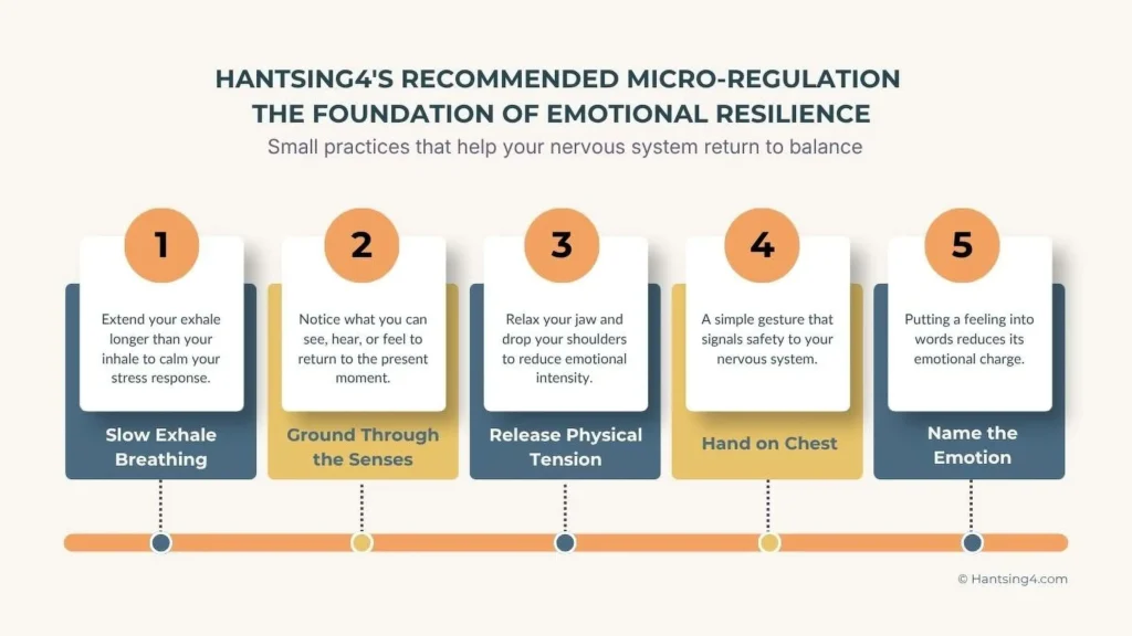Hantsing4 recommended micro-regulations