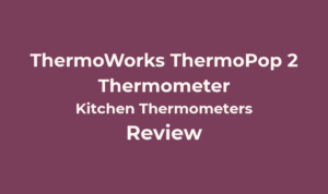 ThermoWorks ThermoPop 2
